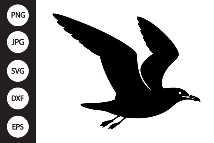 Seagull Clipart Image 4