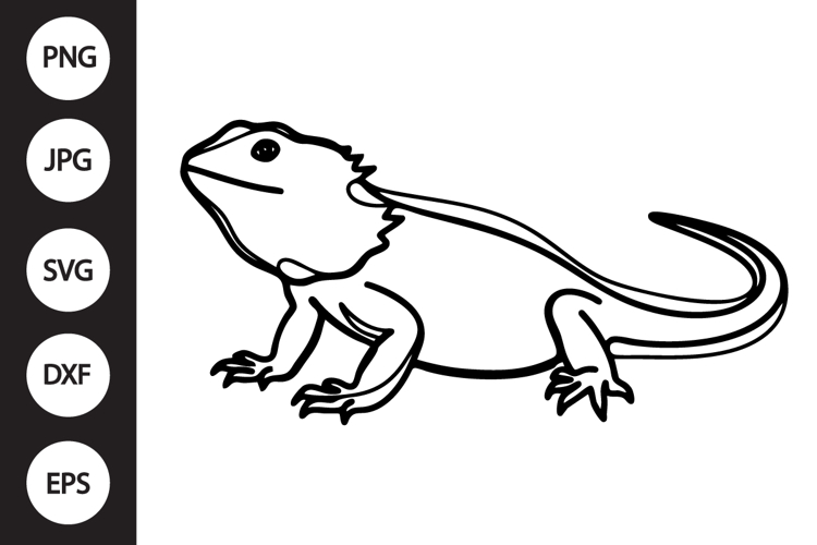 bearded dragon clipart Image 5