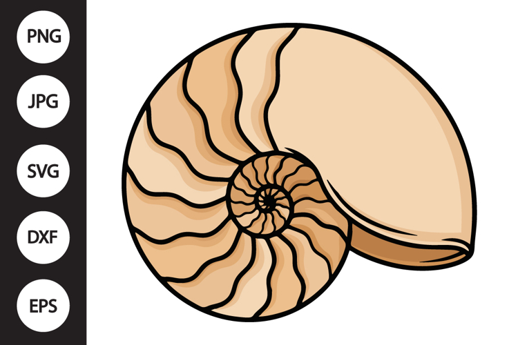Nautilus Shell SVG