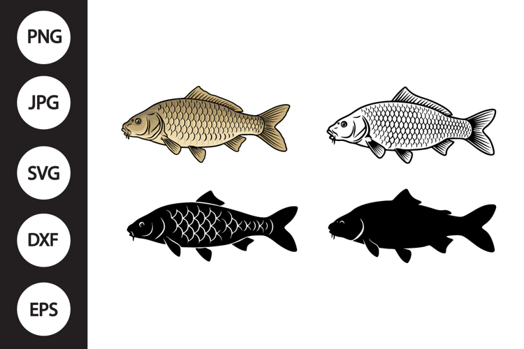 Carp Fish SVG, Carp Fish Clipart example image 1