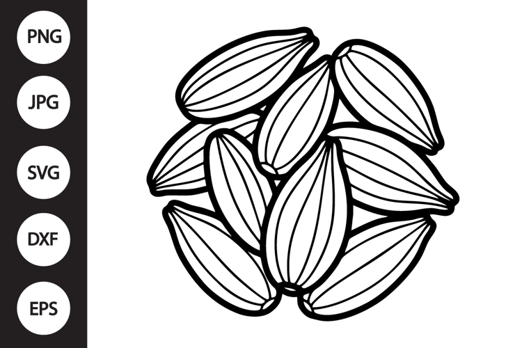 Fennel Seeds SVG
