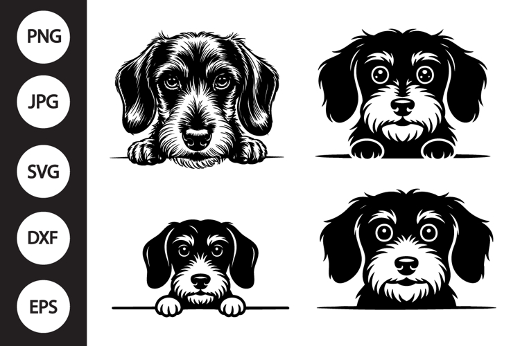 Dachshund Svg Image 20