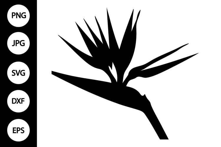 Bird Silhouettes Image 24