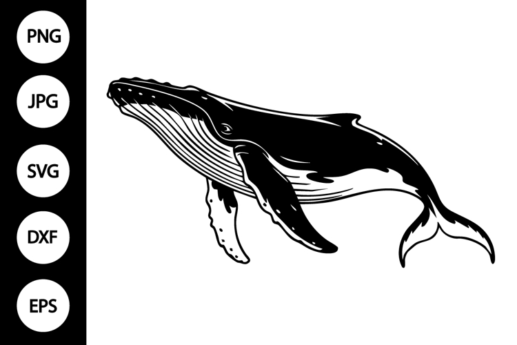 Clipart For Cricut Image 23