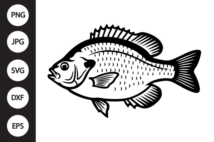 Bluegill Panfish SVG example image 1