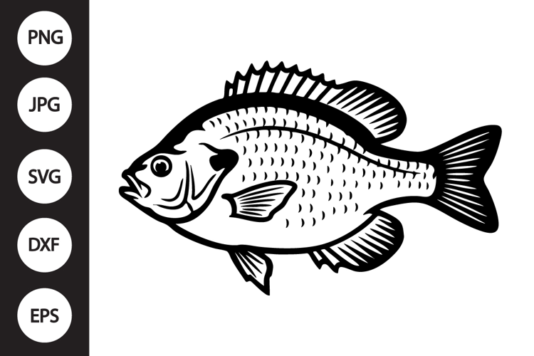 Bluegill Panfish SVG