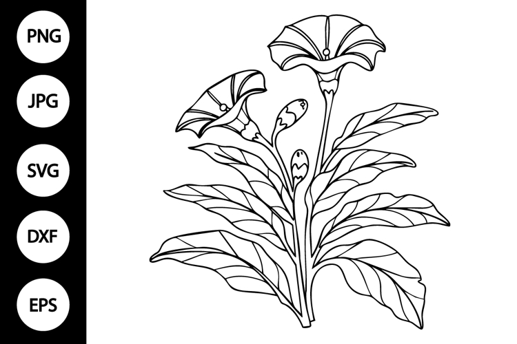 Flower Clipart Black And White Image 7