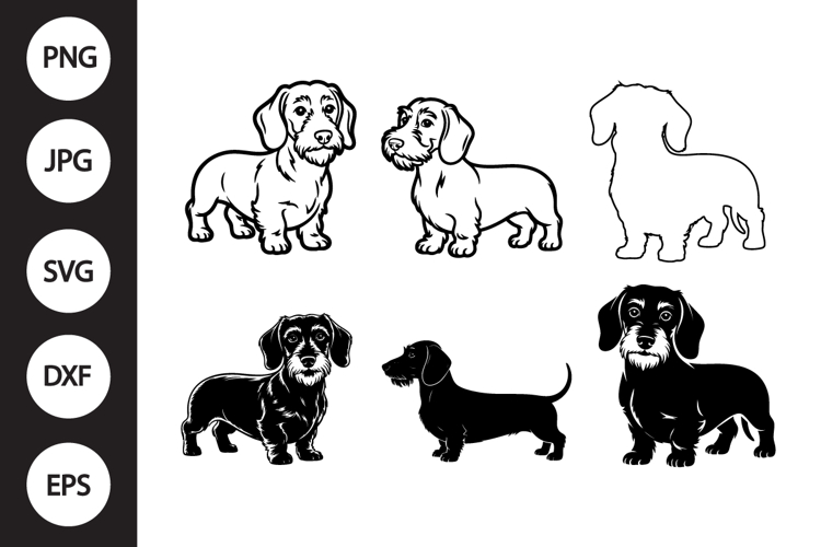 Dachshund Svg Image 19