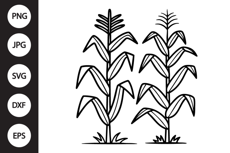 Corn Stalks SVG