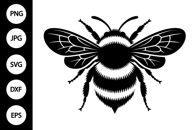 Bee Clipart Image 13