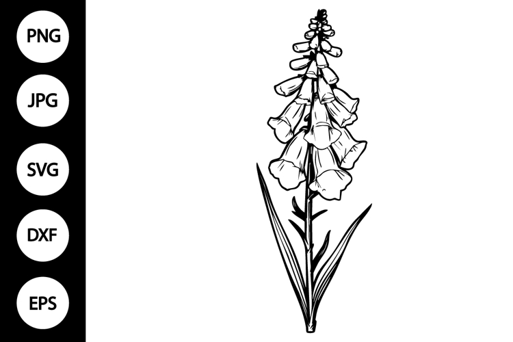 Flower Clipart Black And White Image 16