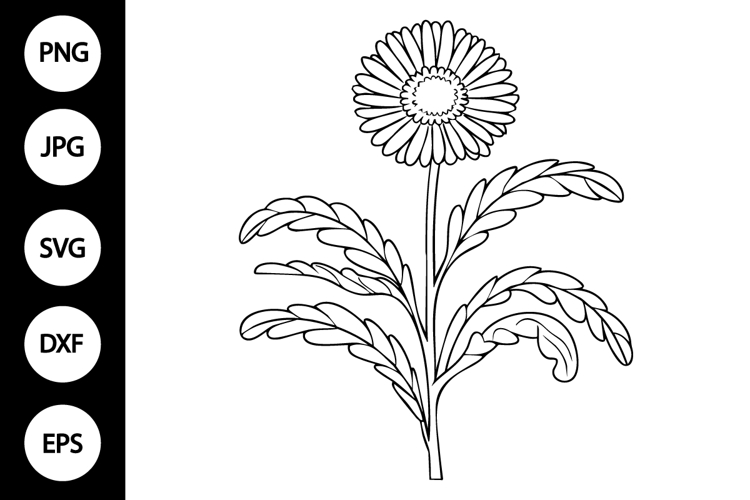 Flower Clipart Black And White