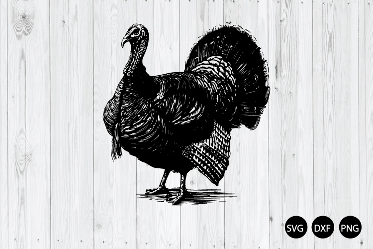 Turkey SVG, Wild Turkey SVG, Farm Animal SVG