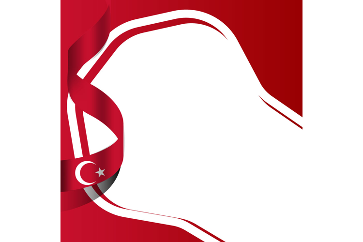 Flag Illustration Image 11