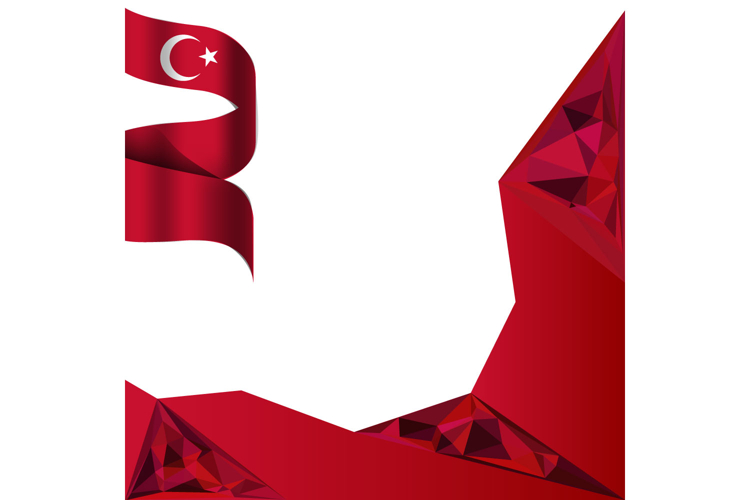 Flag Illustration Image 24