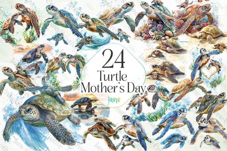 Turtle Illustration Image 23