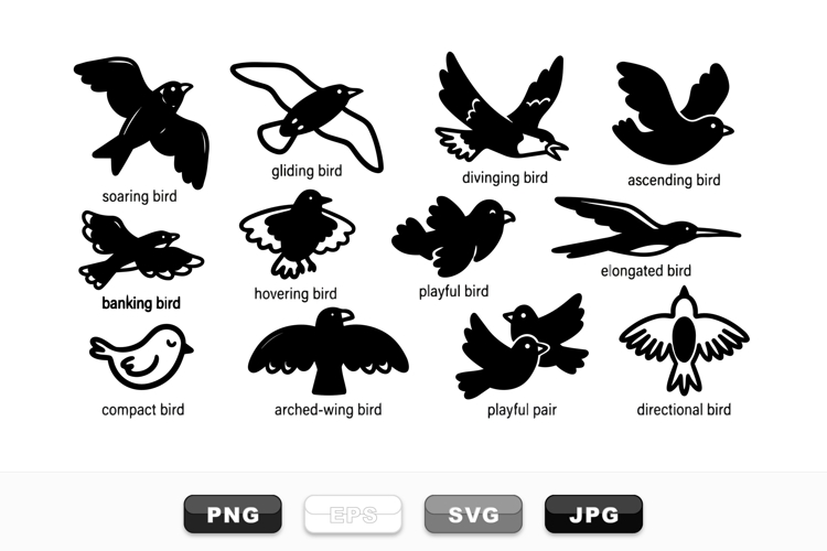 Black Bird Silhouette Clipart Bundle for Crafts
