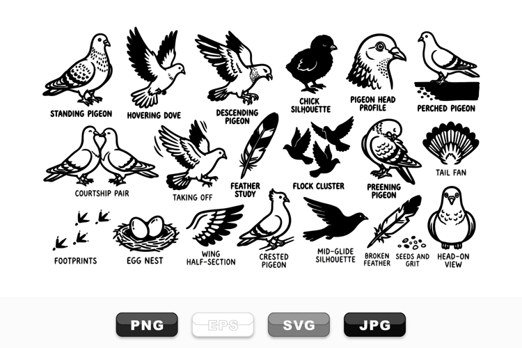 Bird Clipart Image 21