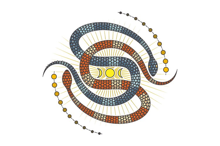 Snake Illustration Image 7