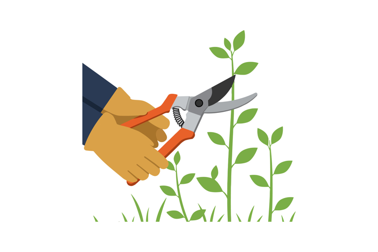 Tool Clipart Image 13