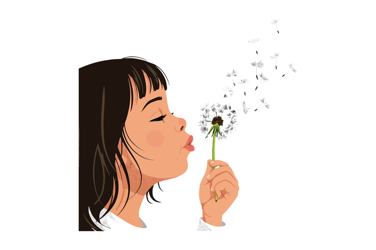 Dandelion Clipart Image 24