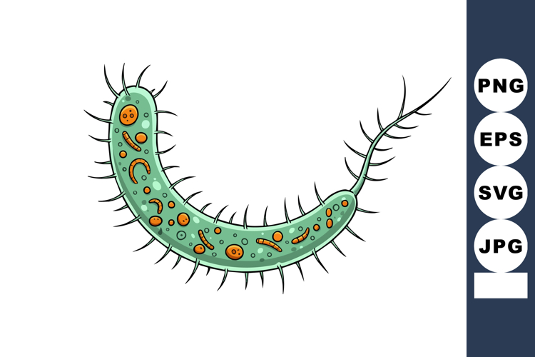 Bacteria Clipart
