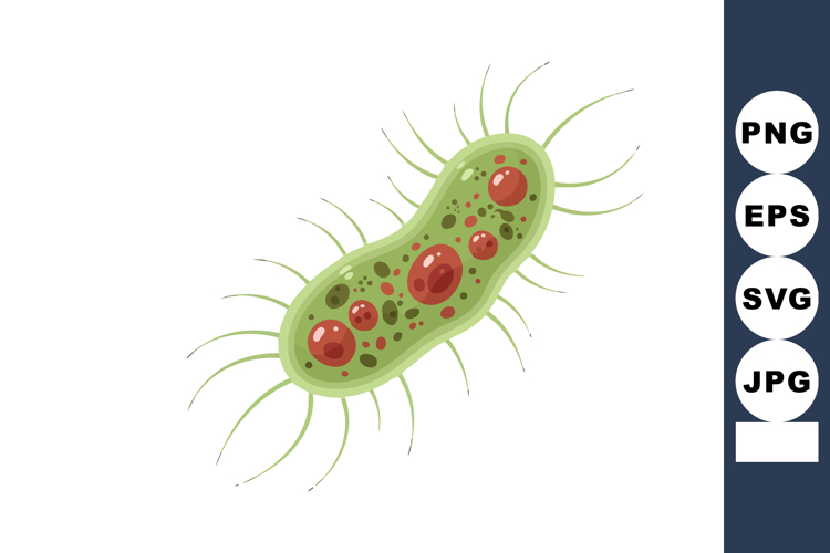 Bacteria Clipart Image 2