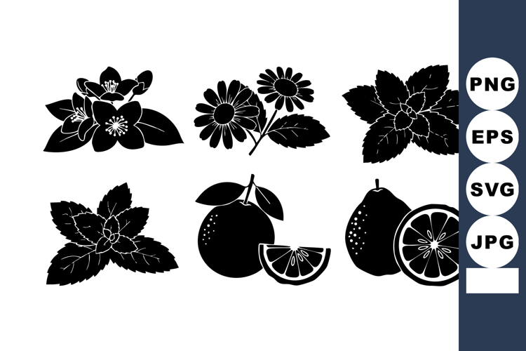 Black Silhouette Citrus Fruits Flowers Vector Set
