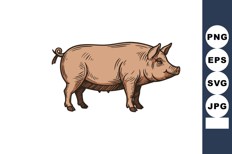 Pig Clipart Image 4