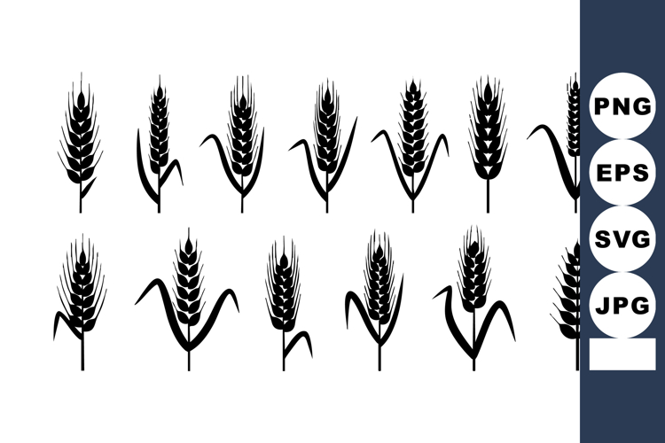 Wheat Illustration Image 19