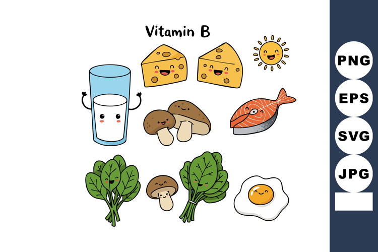 Vitamin B rich foods illustration with cheese milk mushrooms