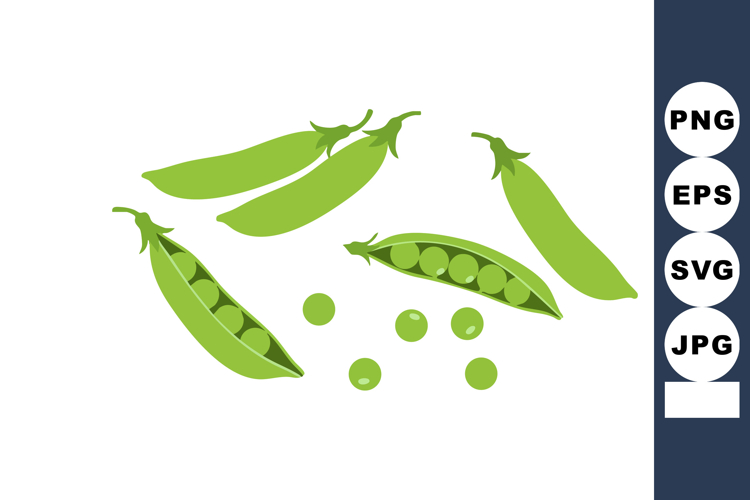 Vegetable Clipart Image 11