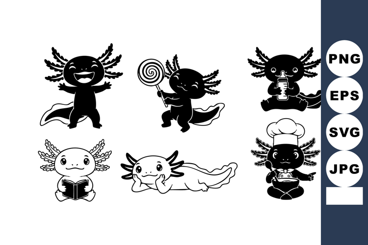 Axolotl Illustration Image 9