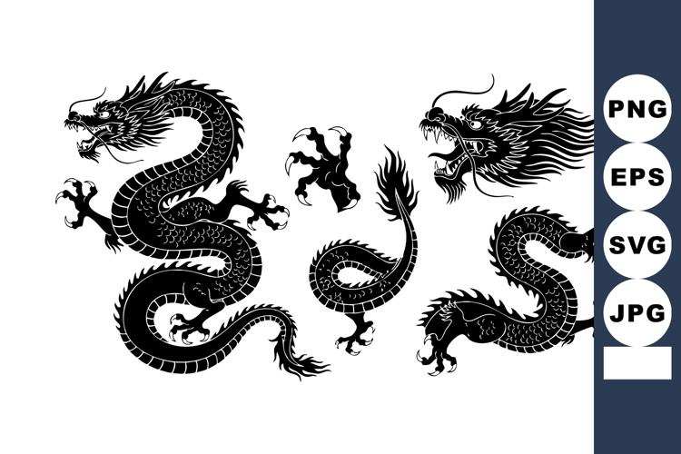 Body Illustration Image 3