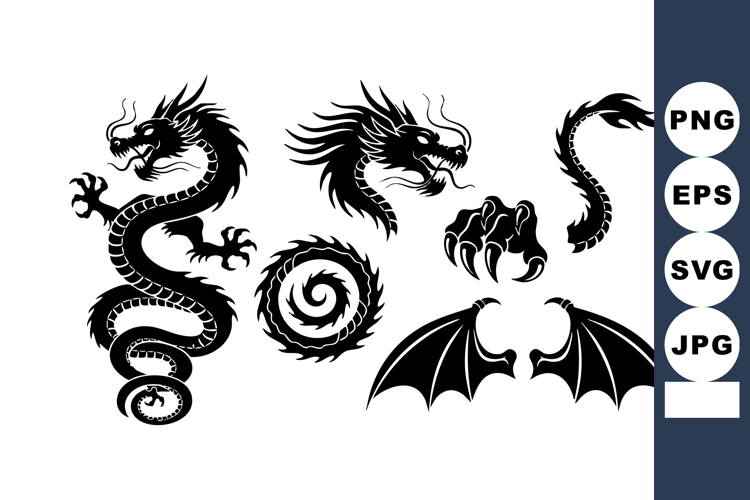 Dragon Vector Image 13