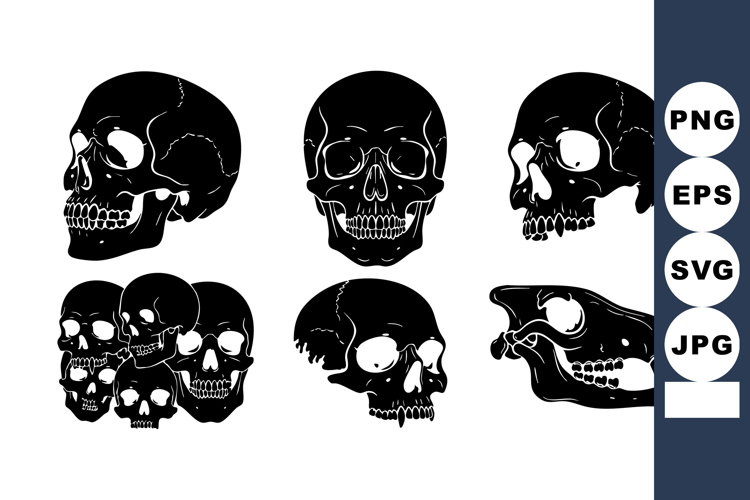 Calavera Vector Image 20