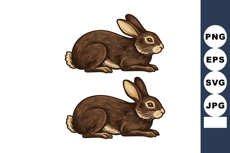 Brown Rabbit Vector Illustration of Two Sitting Hares with D