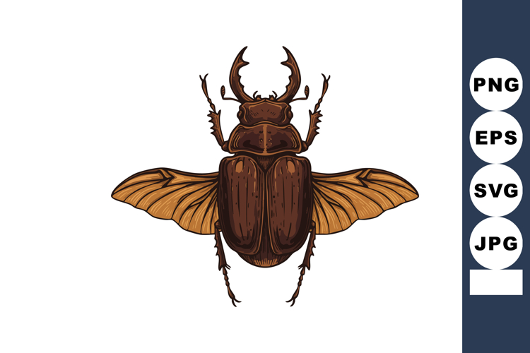 Beetle Clipart Image 8