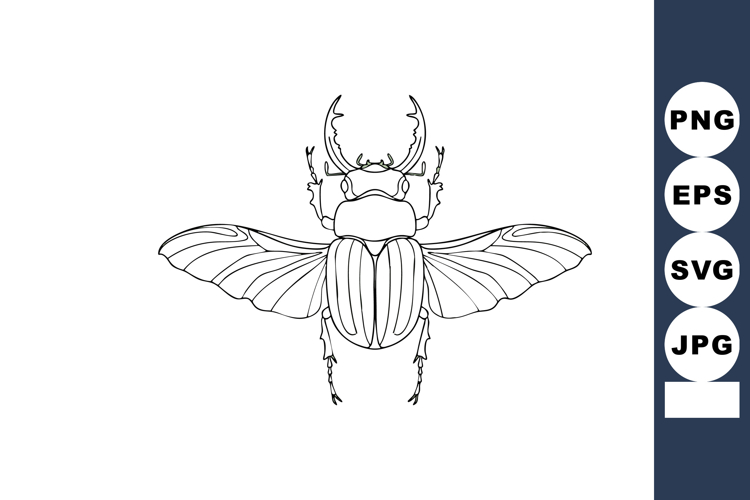Beetle Clipart Image 7