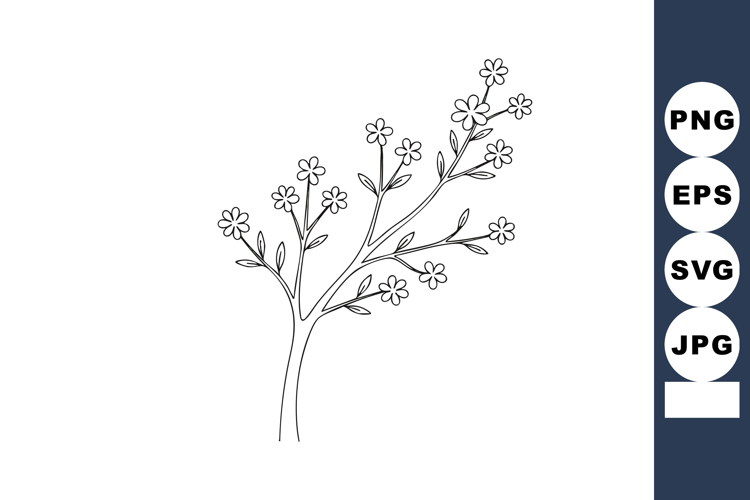 Delicate flowering branch with small blossoms and slender le