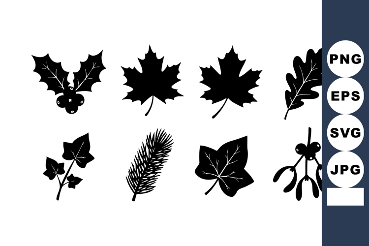 Holly Illustration Image 8