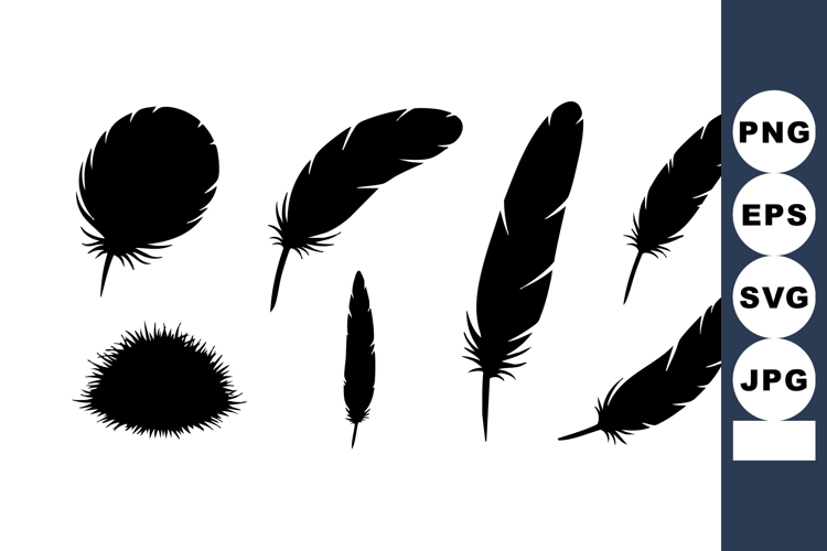 Feather Illustration Image 23