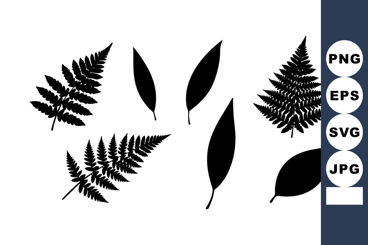 Leaf Vector Image 2