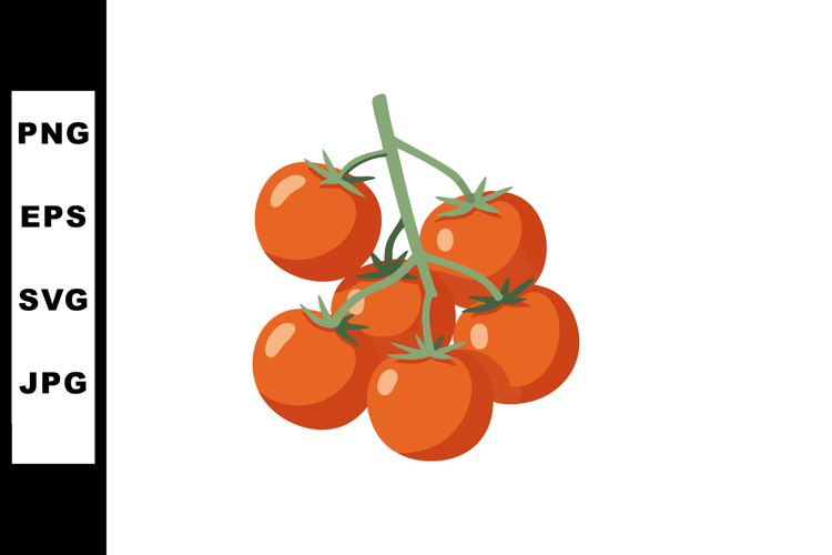 Vine Clipart Image 2