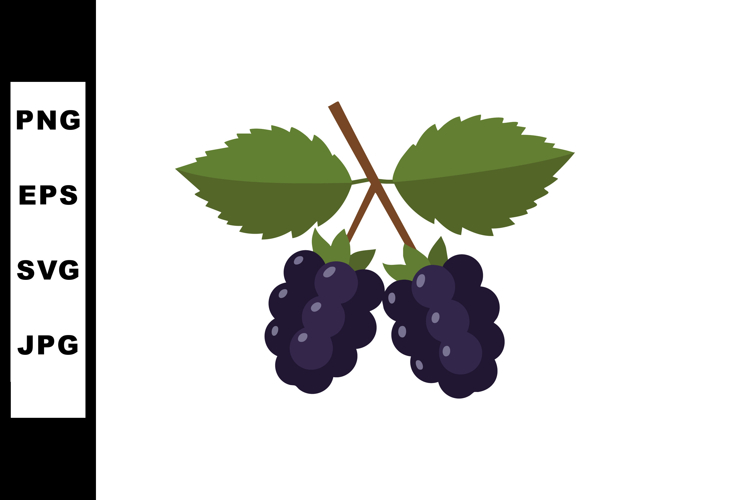 Blackberry Clipart Image 3