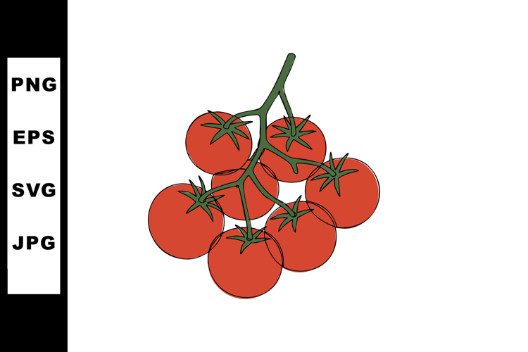 Vine Clipart