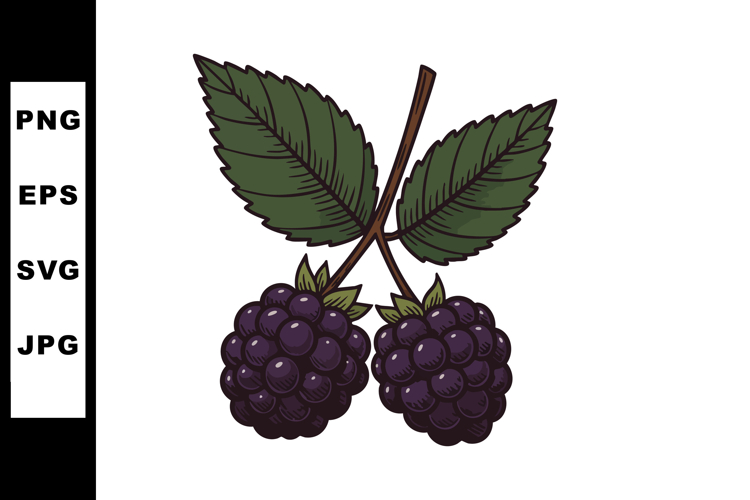 Blackberry Clipart Image 6