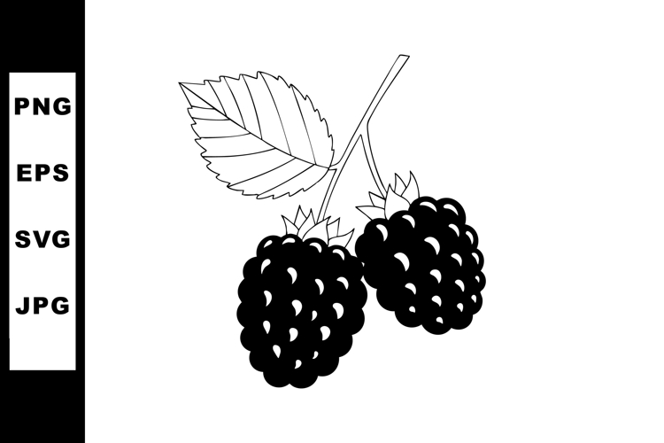 Blackberry Clipart Image 2