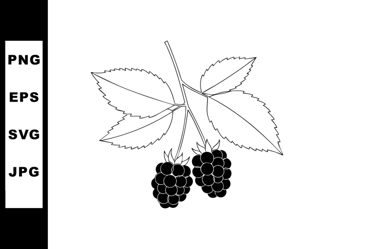 Blackberry Clipart
