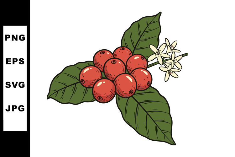 Coffee plant branch with ripe red berries and white flowers example image 1